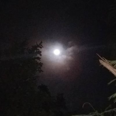 Pablo61825929's profile picture. hola chicas ricas