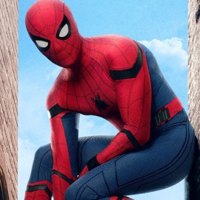 I'm peter parker aka Spider-Man I'm a photographer for the daily bugle #single crossovers welcomed #Marvelrp #DCrp