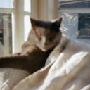 Nadine Phillips - @aleeciagrace - Twitter