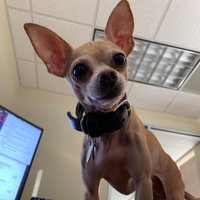 datacenterdog (@datacenterdog) Twitter profile photo