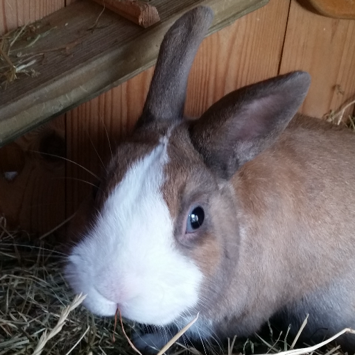 WickedWitchTina's profile picture. Loved ones come first then social media. Interest are art, books, mysteries, witchcraft, pc gaming, nature photography, long walks, bunnies and all creatures.