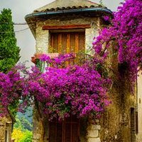 Ankara olgun çiftler tercıhim (@bekirkayaa2) Twitter profile photo