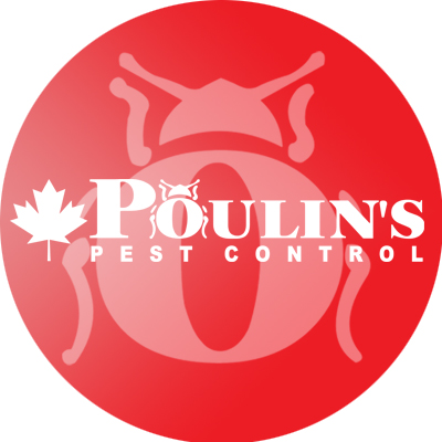 Poulin's offers the best quality of pest control services to identify the source of the problem and recommends the best long term solution for your situation.