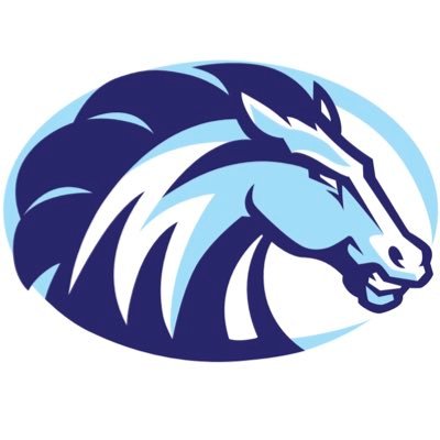 Official Twitter account of the Meadowdale Mavericks Boys' Basketball Program. Check out our Instagram: Meadowdale_Basketball #GoMavs