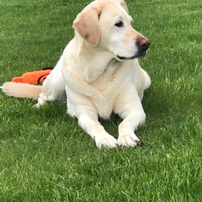 cburtonw's profile picture. 