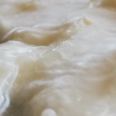 FormatgeLaBalda's profile picture. Formatges artesans ecològics La Balda. Mas La Vilotxa, Granollers de Rocacorba.