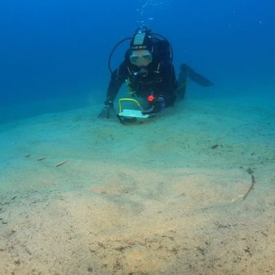 JoBarker89's profile picture. Marine biologist @ZSLMarine working on sharks, skates & rays across the #Atlantic. Co-Founder of Angel Shark Project @angelshark2014, Project Lead @projectsiarc