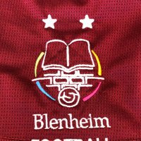 Blenheim PE(@BlenheimPE) 's Twitter Profile Photo