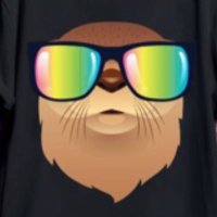 OttieDaOtter(@OttieDaOtter) 's Twitter Profile Photo