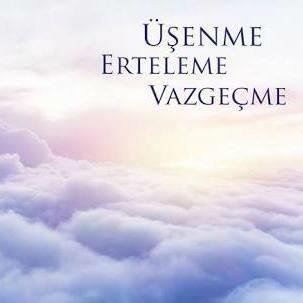 feyyaz_gezer's profile picture. 