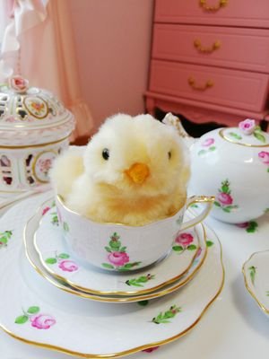 マネキンと暮らしてる引きこもりです🐥お茶とかおやつとかお料理とかヘレンドの食器とか好き〜🐤