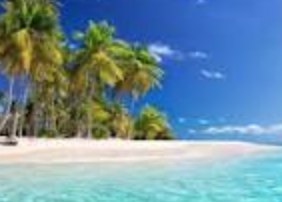 beware_koko's profile picture. 