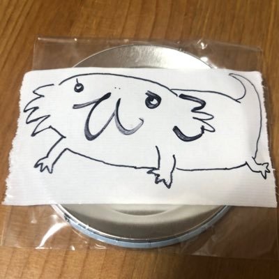 釣り専用アカウント 。最近ドローン始めました。空も水中も♪ボンバダアグア大好き、ナマズ/ブラックバス/シーバスやります(^^)tulala glissando77 Morena53 東海三県