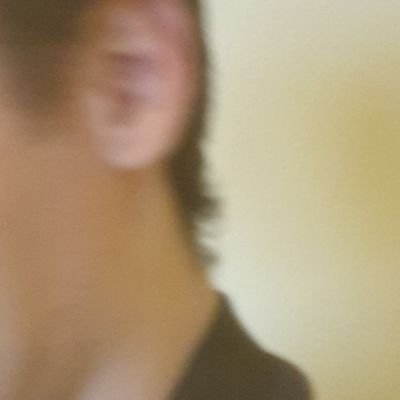 SnifferOtter's profile picture. 