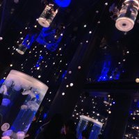Ren@ただの看護師、株を買う (@usagi_syobon) Twitter profile photo