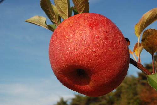 bok6810's profile picture. 