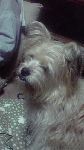 森下真美 1004mamichan Twitter