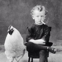 Mom’s Right (@ex_lefty) 's Twitter Profile