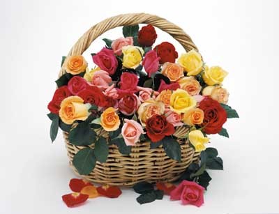 Send flowers to UAE and INDIA