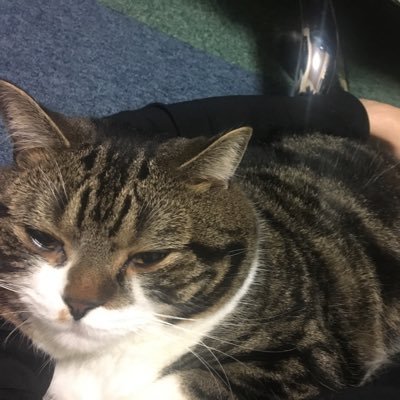 ouri0912's profile picture. 2021年結婚しました PUBGモバイル大好き勢「ーYAKIー」 スパナチュ大好き