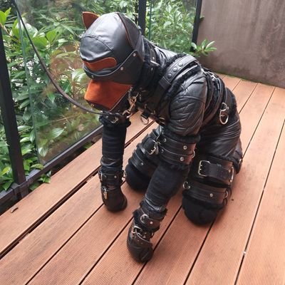 wuming20191's profile picture. wj退y, 喜欢（肌肉，壮m）男，女M，医疗SM，正装，zentai，捆绑，制服，乳胶，（石膏高分子，胶带，绷带木乃伊），皮革，重度束缚禁锢，狗，脚，电击，刑，强取，拳及重口味。不卖视频。 不10。找家奴，不圈养。