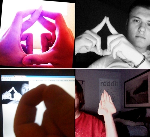 yokgibi's profile picture. 