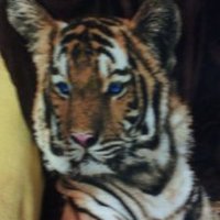 maree stanton (@57maree) 's Twitter Profile
