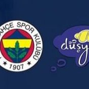 Fenerbahçe Düşyeri(@Fb_Dusyeri) 's Twitter Profile Photo