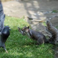 Simon Dack(@simondackpix) 's Twitter Profile Photo Simon Dack(@simondackpix) 's Twitter Profile Photo