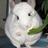obaq089's profile image