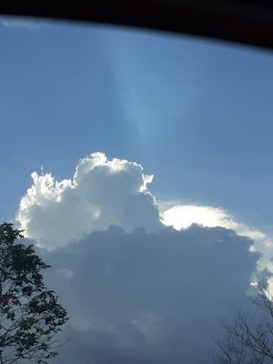 read_mywords's profile picture. suke mendengar suke membaca suke melihat dan suke memberi