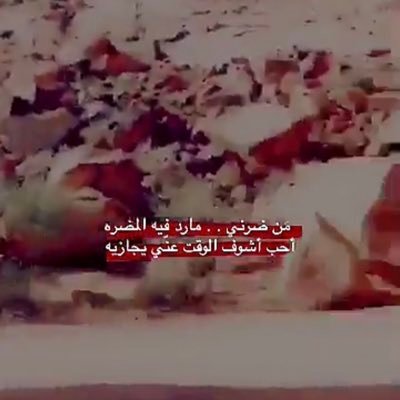 عجبت للناس، يسمعون نصف الحديث، ويفهمون ربعه، ويتكلمون عليك أضعافه