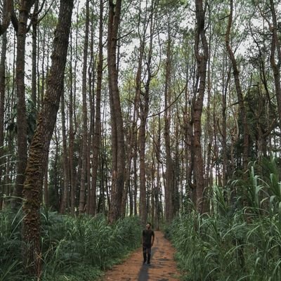 angetbos's profile picture. keep kalem