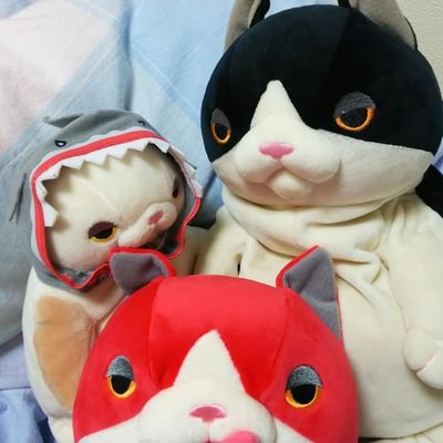 梨音♪🐲🕷️プロレス垢さんのプロフィール画像