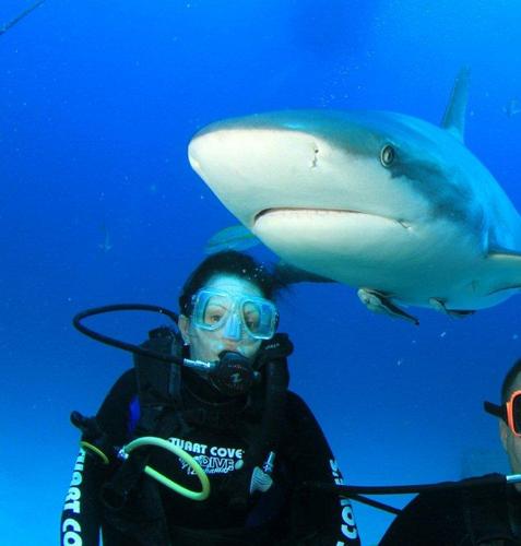 NCToothDoc's profile picture. 