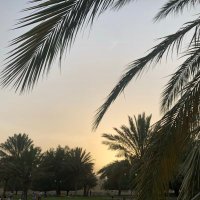 ولاء🇸🇦 (@prinses2022) 's Twitter Profile