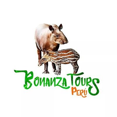 Bonanza Tours Perú