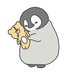 はく (@sy_ng_) Twitter profile photo はく (@sy_ng_) Twitter profile photo
