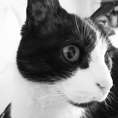 Adrian13506644's profile picture. appunti sparsi