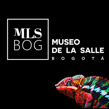 Museo de La Salle