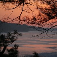 Tom Allman (@blackoak) 's Twitter Profile