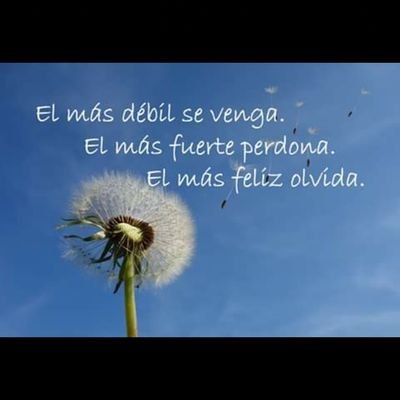 IvanAlacant's profile picture. especial? no hay otro igual
