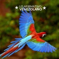 Lo Afirmativo Venezolano(@LoAfirmativoVE) 's Twitter Profile Photo