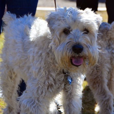 sandras68366149's profile picture. 