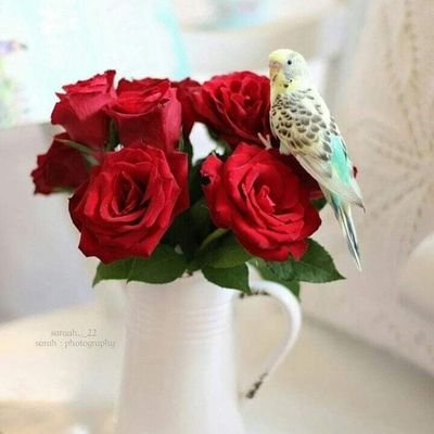 LJGbg2WVLRHf6Tw's profile picture. ‏‏اخصائية لدي شركة فورايفر