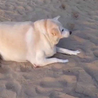 70daysago's profile picture. 1121_