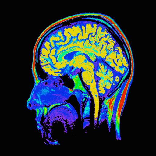 CCNC Brain Studies Profile
