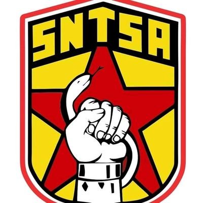 93Seccion's profile picture. 