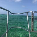 Charley Hall - @Charley44479380 - Twitter