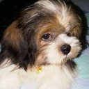 bryan vinn merrick - @bryan_merrick - Twitter